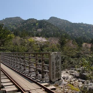 伐採の歴史残る小杉谷集落跡地