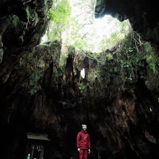 ウイルソン株は中に入れます