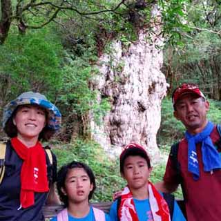 念願の縄文杉と対面