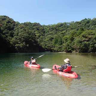 緩やかな流れを漕ぎます