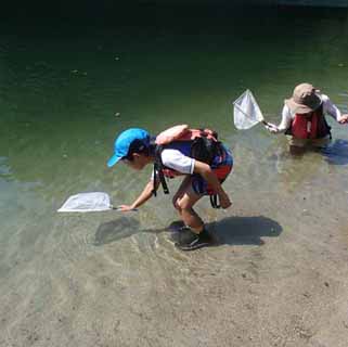 網でエビやカニ、ハゼをとる