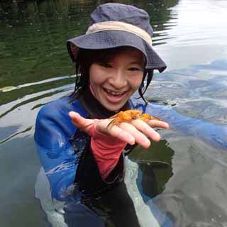 川には生き物がいっぱい