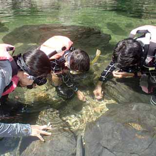 お魚に餌付け中