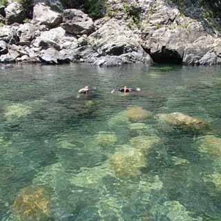 透き通る川でスノーケリング