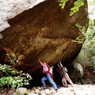 みんなさんも岩を押しましょう