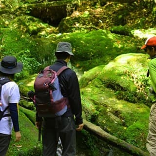 のんびりと周りを観察しながら自然解説