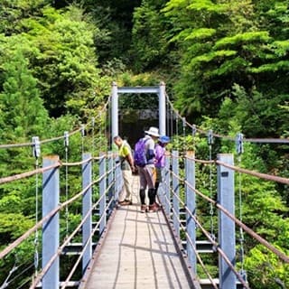 吊り橋から白谷川を見下ろす