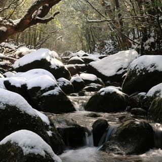 12月下旬～3月初旬は雪が積もることも