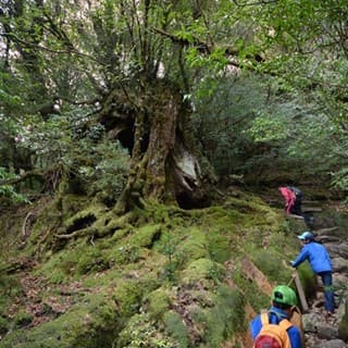太鼓岩を目指す