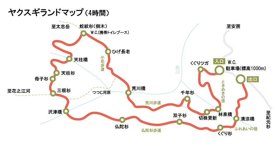 ヤクスギランドコースマップ